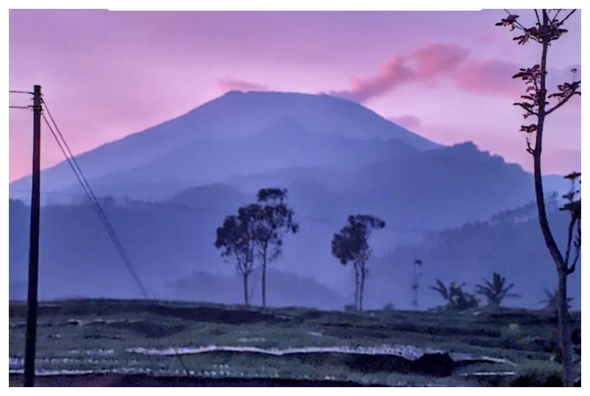 pemandanagan gunung slamet pagi hari