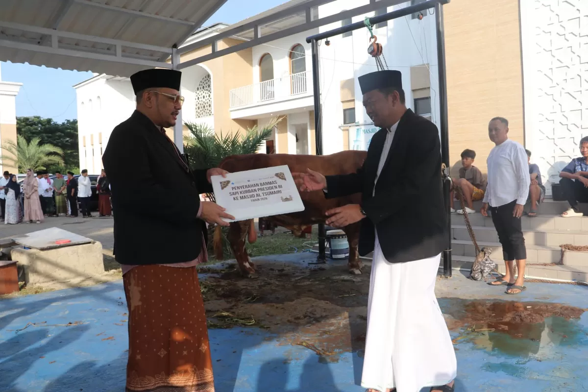 Penyerahan Sapi Presiden oleh Walikota Tegal (AGUS R)