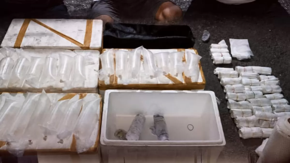 Polresta Banyuwangi Gagalkan Penyelundupan 23 Ribu Benih Lobster Senilai Rp3,45 Miliar