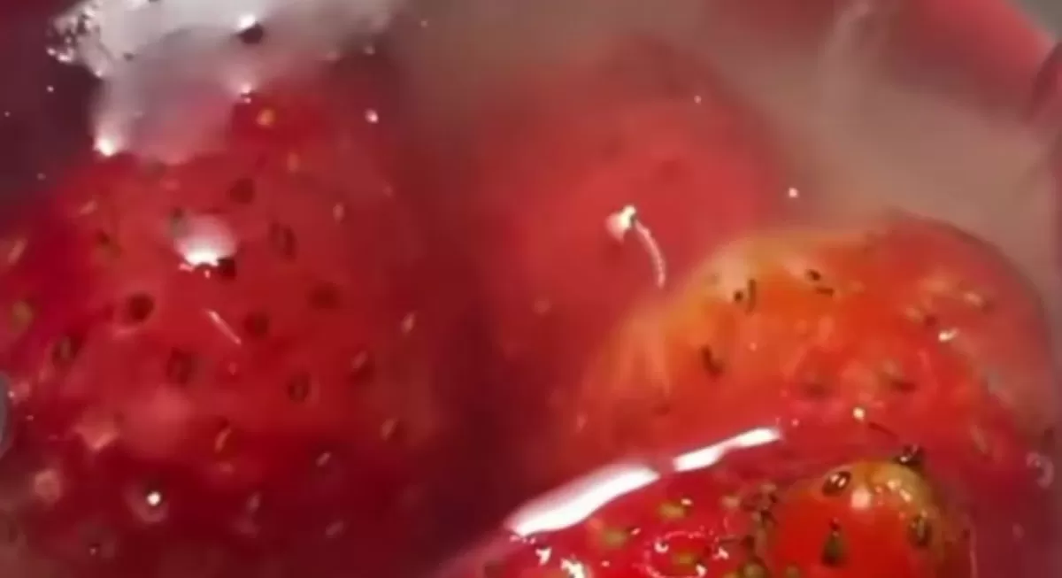 Viral puding stroberi menu MBG di Lowokwaru, Kota Malang ditemukan belatung hidup. (Instagram/info_malang)