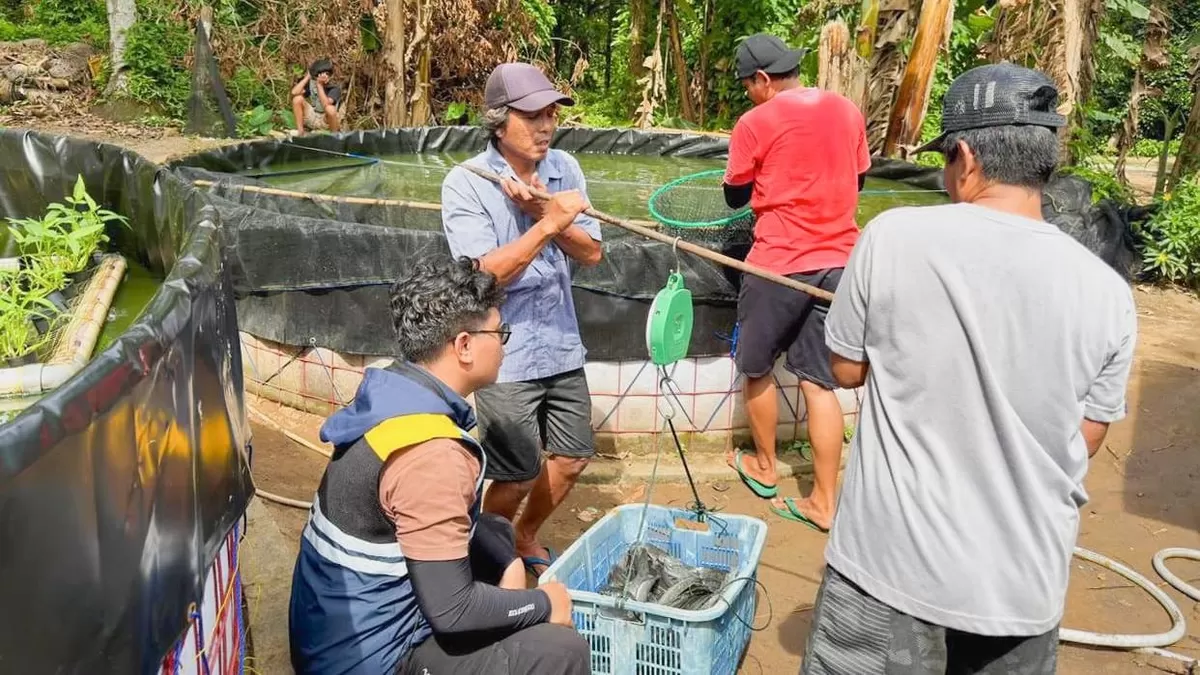 PSN di Pulau Penebang turut andil dalam pertumbuhan ekonomi di Kabupaten Kayong Utara. (Dok. Kabupaten Kayong Utara)