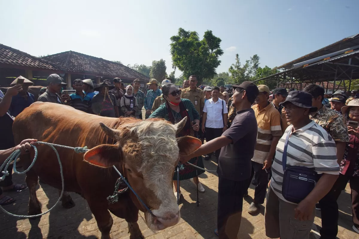Bupati Gunung Kidul Endah Subekti  di pasar Siyono dok. TPID Gunung Kidul 