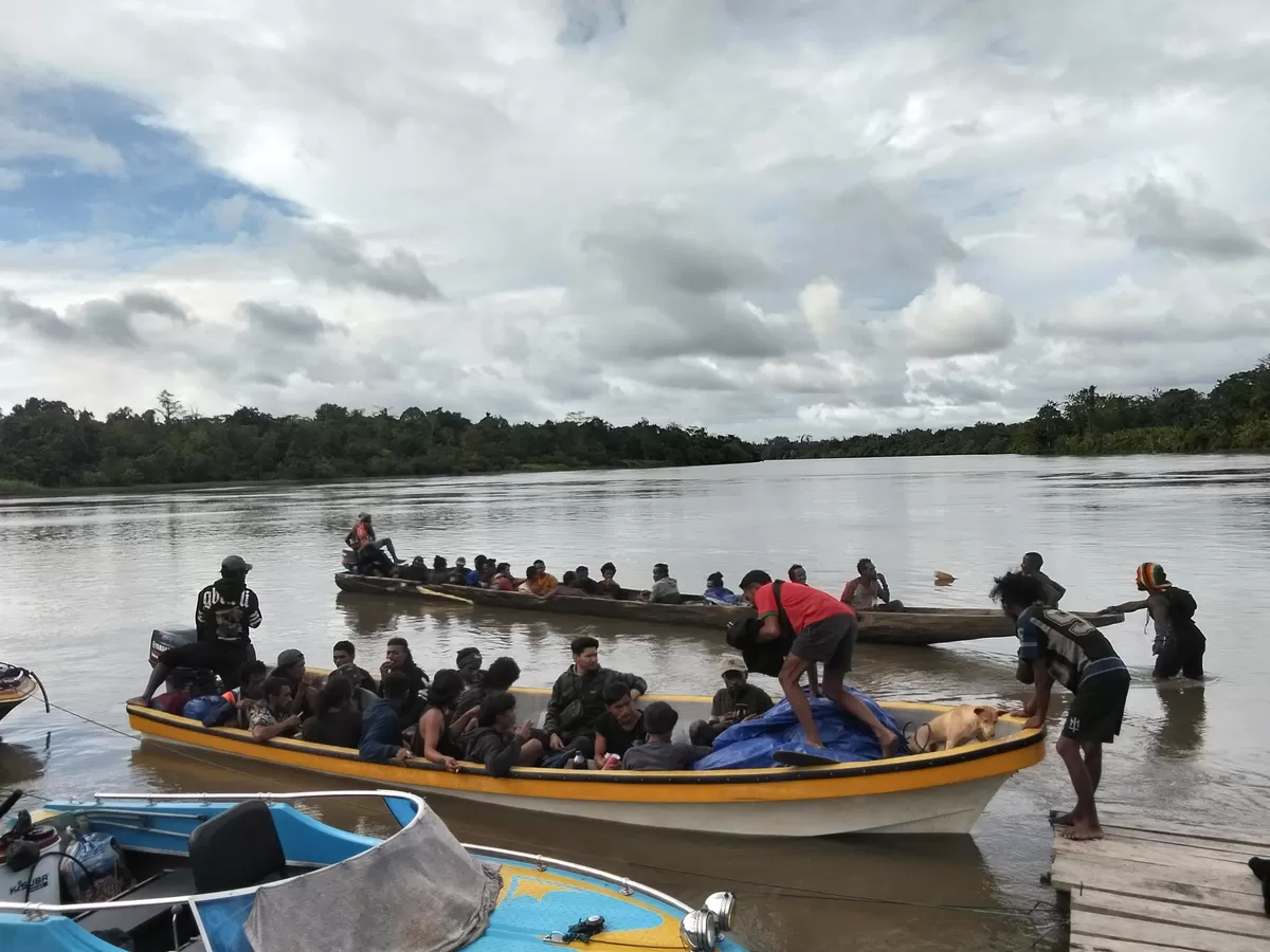 44 pendulang emas berhasil dievakuasi dan tiba di Kabupaten Boven Digoel Minggu (24/5/2026) (Humas Polda Papua)