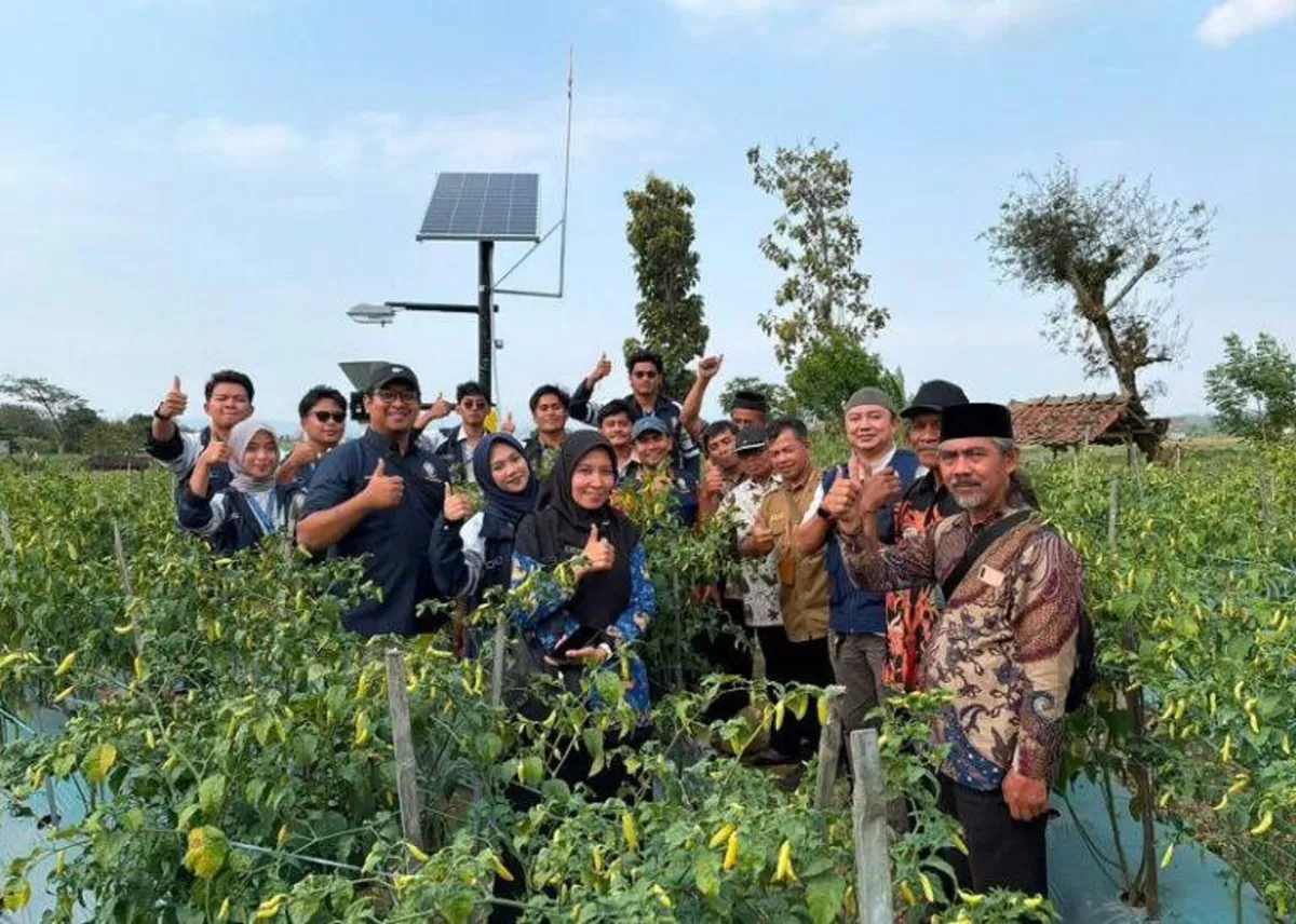 Mahasiswa KKN UNDIP menyusun masterplan Desa Campuranom hingga 2034 dan menghadirkan smart light trap berbasis AI untuk pertanian.