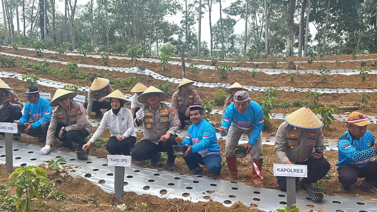 Polres Lebong, Bengkulu ikiuti tanam bawang putih serentak dukung ketahanan panngan nasional. (Foto/Humas Polres Lebong) 