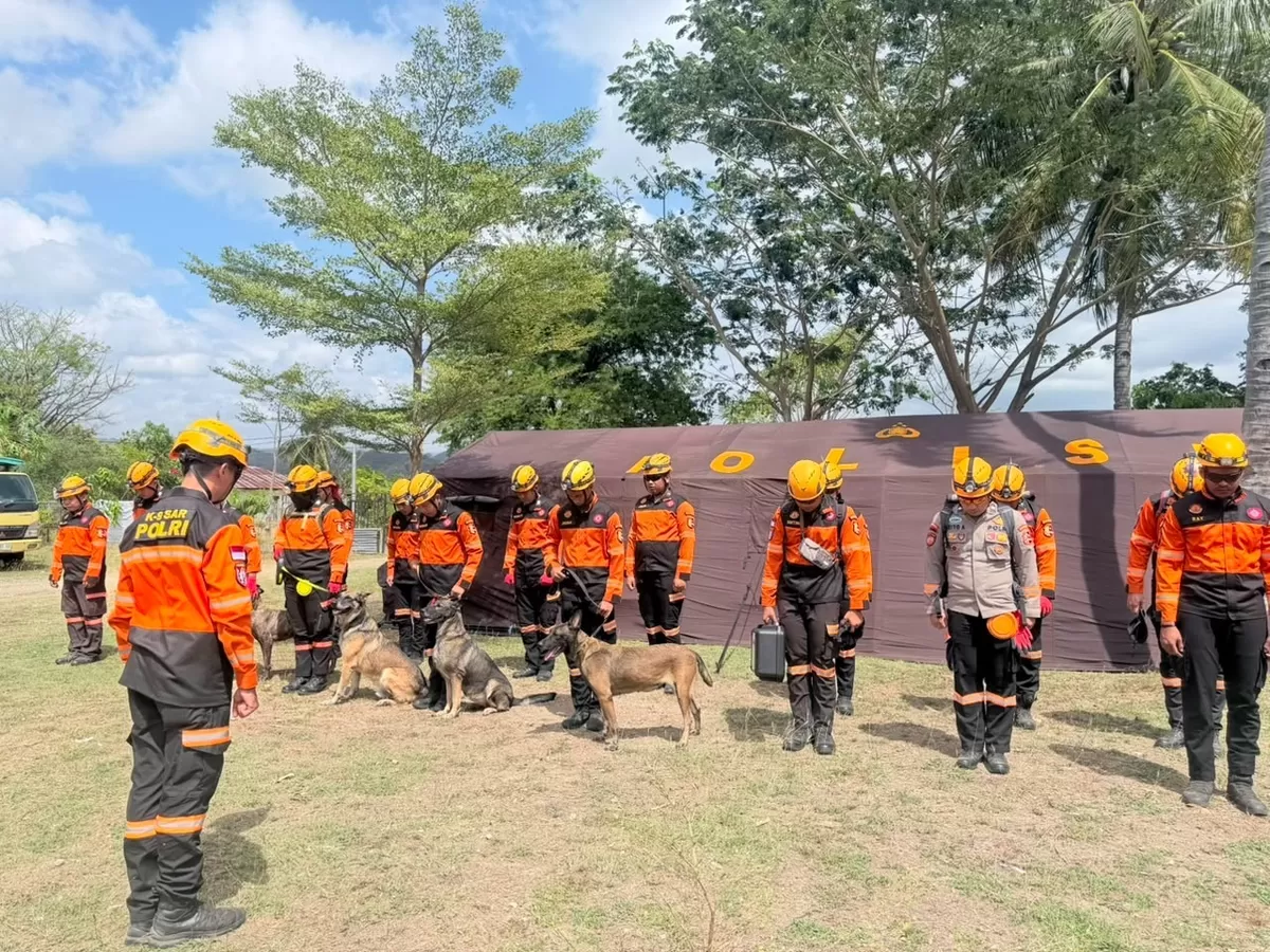 K-9 SAR  Polri Perkuatt Operasi Kemanusian Pascagempa du Provinsi NTT.(Foto/Ist)