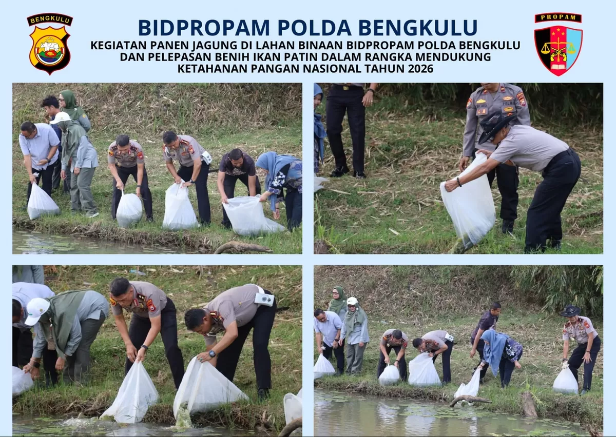 Pokda Nengkulu Tebar Ribuan Ekor Bibit Ikan Patin  guba mendukung progran ketahanan pangan.(Foto/Humas Pollda Bengkulu.(Foto/Ist)