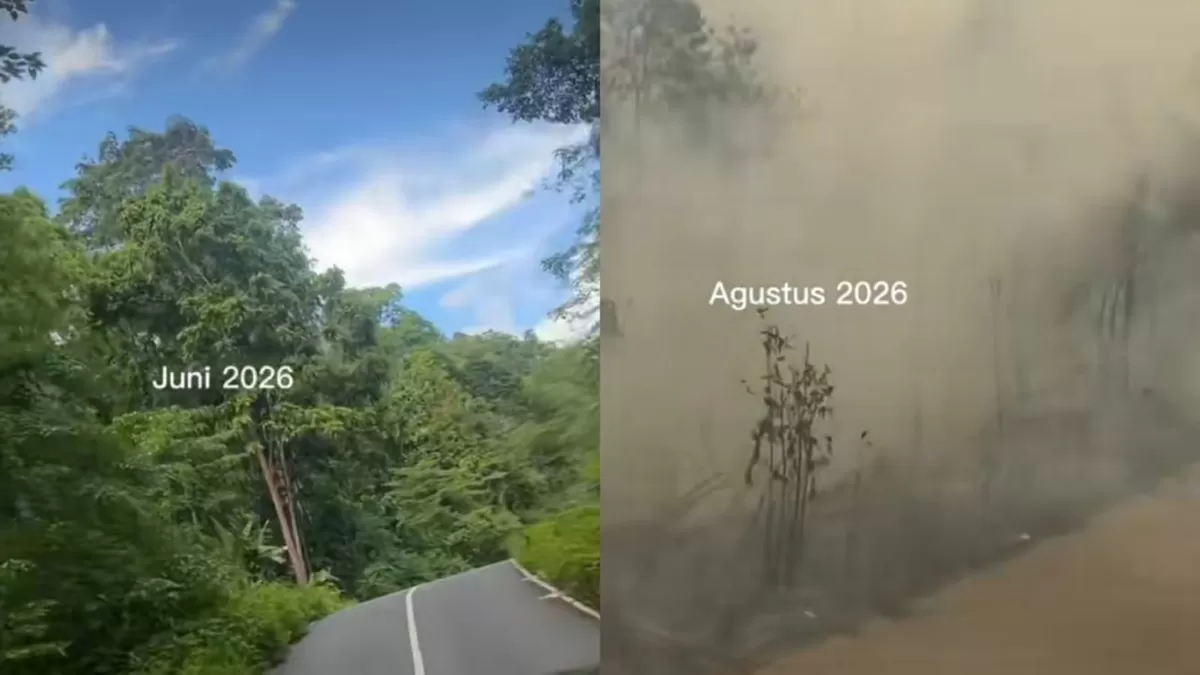 Warga keluhkan kebakaran hutan dan lahan di Kabupaten Biak Numfor, Papua. (TikTok/sickmundfreud)