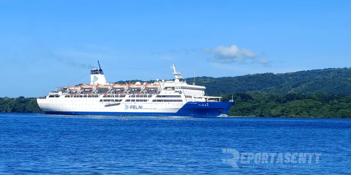 Kapal PELNI saat memasuki selat Flores di Kabupaten Flores Timur. (Foto/Dok. RNTT)