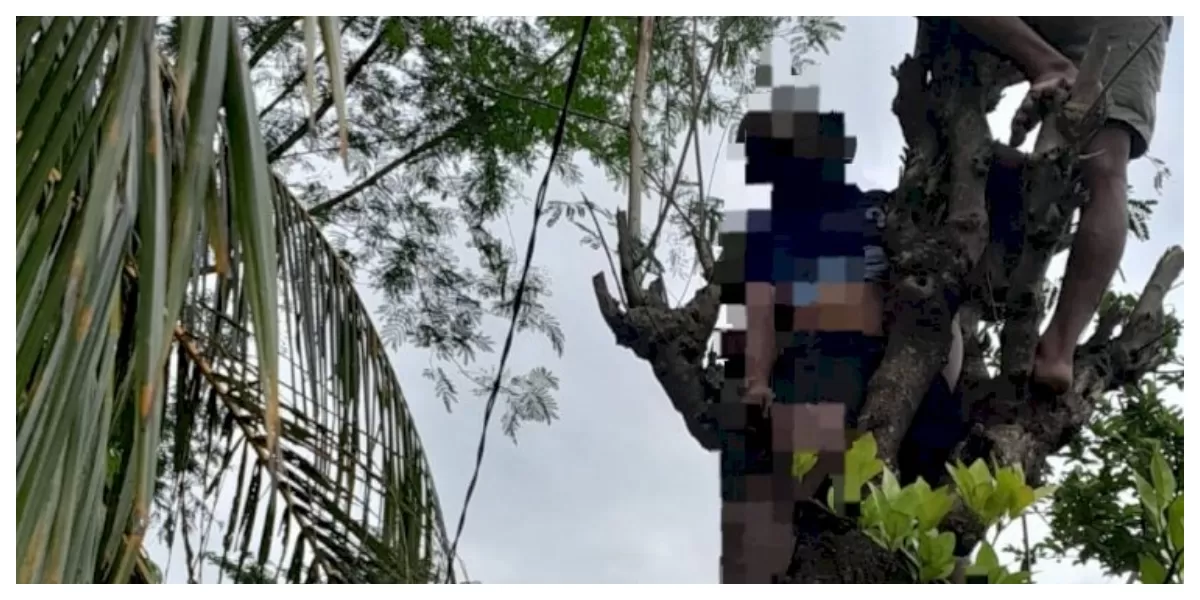 Petugas dan warga mengevakuasi korban dari atas pohon setelah tersengat listrik tegangan tinggi di Desa Tesbatan 1, Amarasi, Kabupaten Kupang.  (Foto TBN Polresta Kupang Kota)