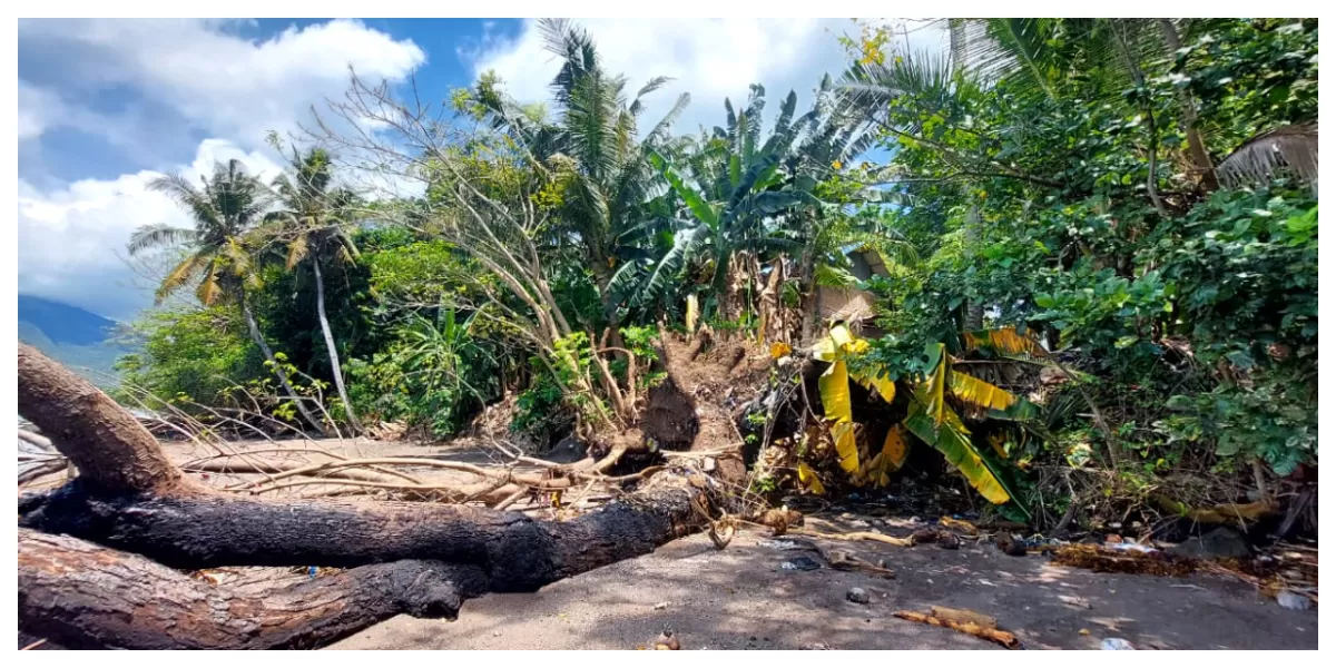 Kondisi abrasi pantai Desa Lamawalang tampak mendekati rumah warga, memperlihatkan kerusakan garis pantai dan ancaman nyata bagi permukiman setempat. (Foto/ Bernad Nara Gere)