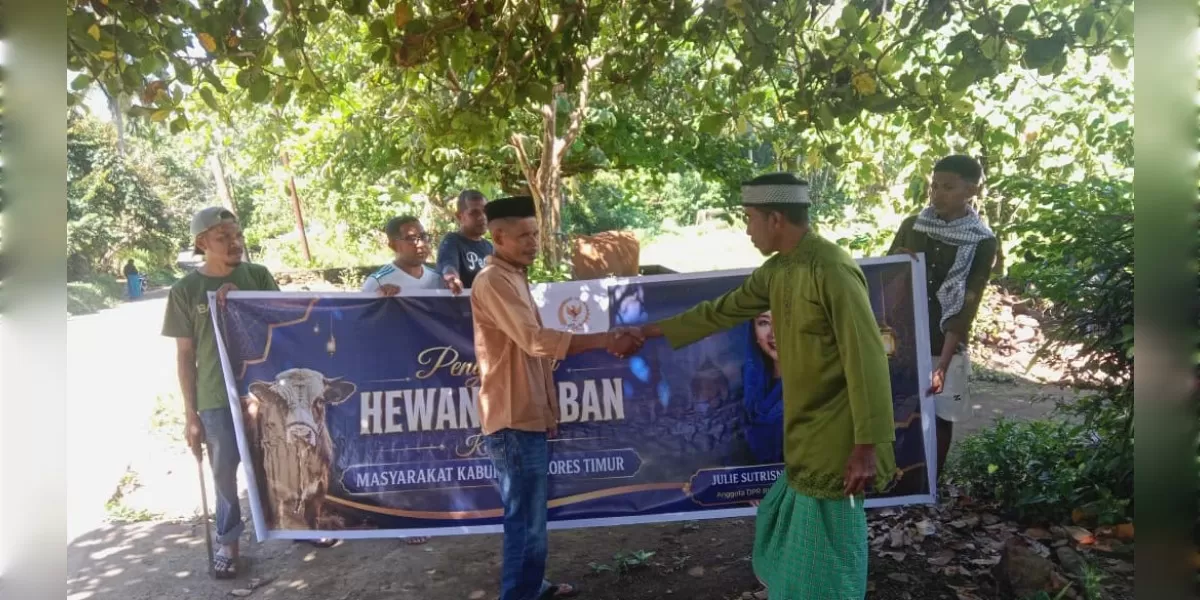 Warga Desa Nuba Lema, Adonara Tengah, menerima bantuan sapi kurban dari Julie Sutrisno Laiskodat menjelang perayaan Idul Adha 1447 Hijriah. (Foto/ ist)