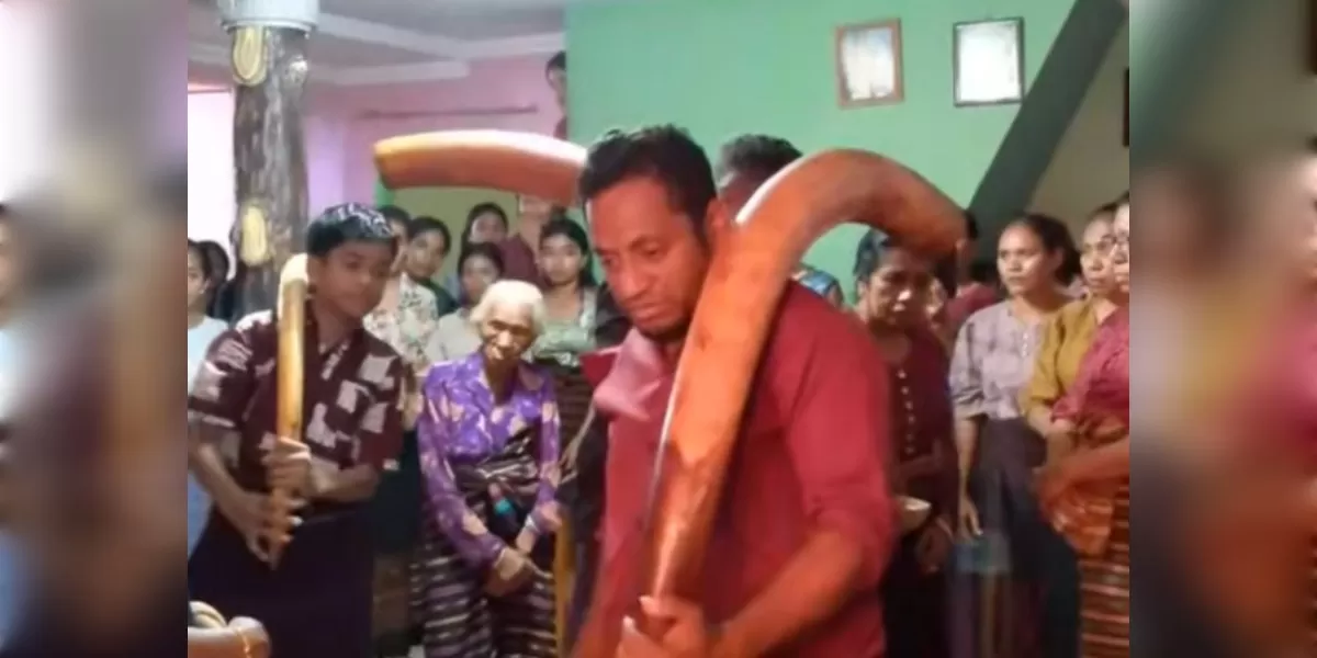  Perwakilan keluarga laki-laki membawa tiga batang gading sebagai mahar adat dalam prosesi antar belis masyarakat Lamaholot di Desa Helanlangowuyo, Kecamatan Ile Boleng, Flotim.