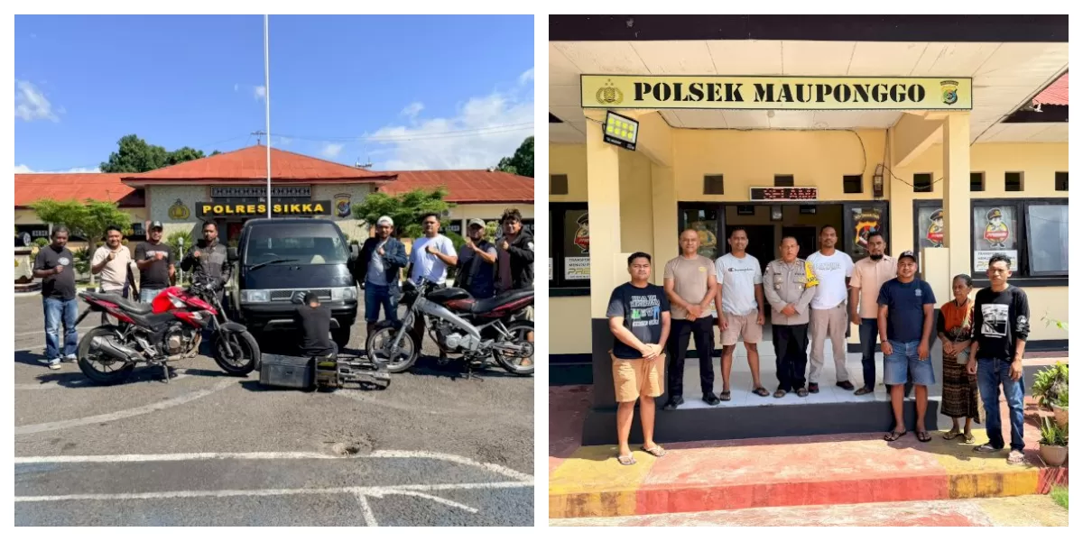 Tim Resmob Satreskrim Polres Sikka menunjukkan tiga kendaraan yang disita setelah penangkapan residivis curanmor di Nagekeo dalam pengembangan penyidikan lintas wilayah.  (Foto )