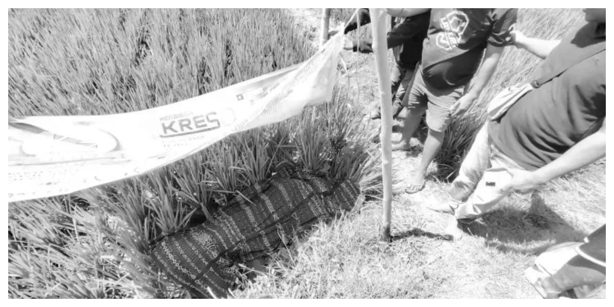 Petugas kepolisian bersama warga melakukan olah tempat kejadian perkara di lokasi penemuan jenazah petani Simonsari Bai di persawahan Magepanda, Sikka. (Foto TBN Polres Sikka)