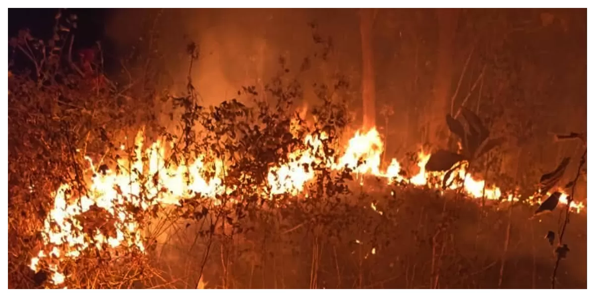 Kebakaran hutan dan lahan di Kalimantan saat titik api bermunculan dan meluas ke sejumlah wilayah rawan selama musim kemarau. 