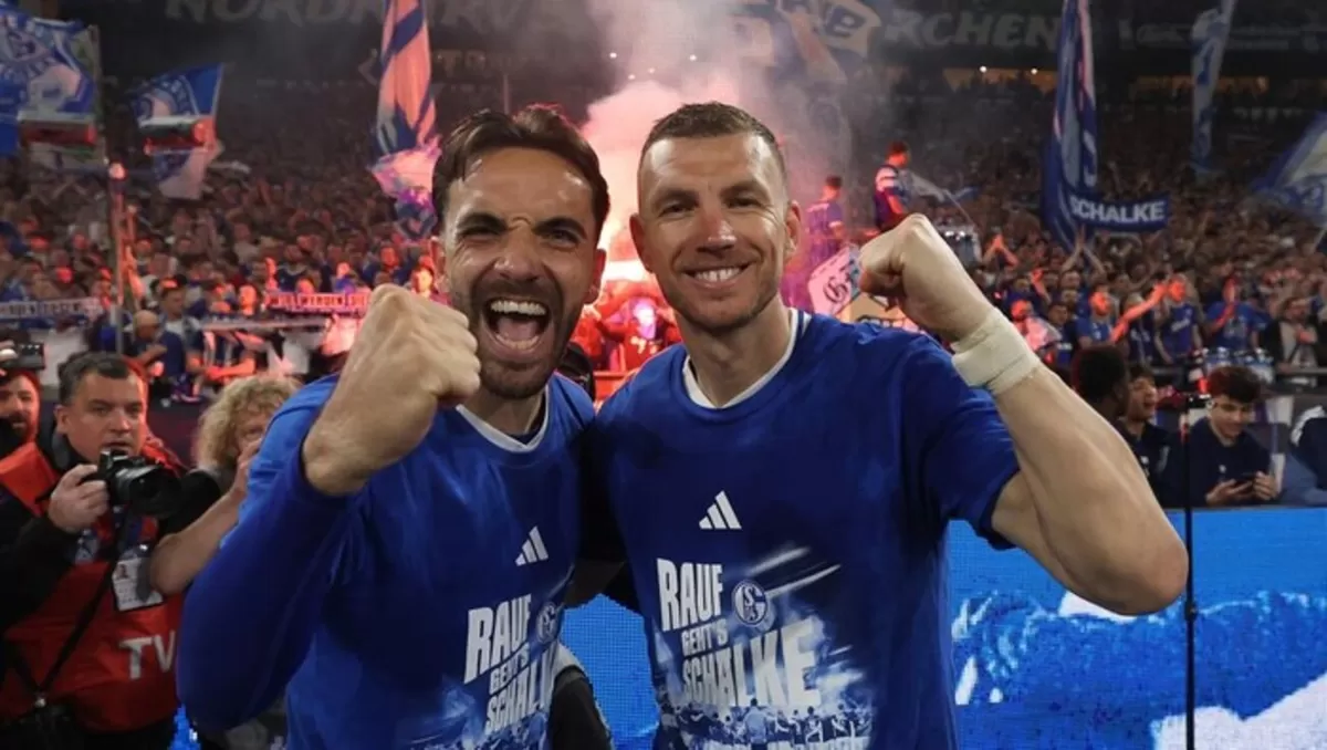 Edin Dzeko membawa Schalke 04 promosi ke Bundesliga. (Getty Images)