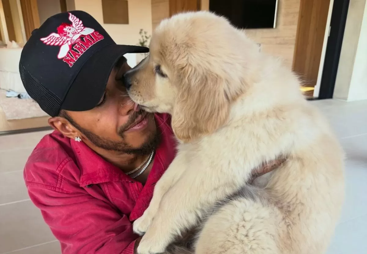 Lewis Hamilton bersama anjing barunya bernama Halo. (@lewishamilton)