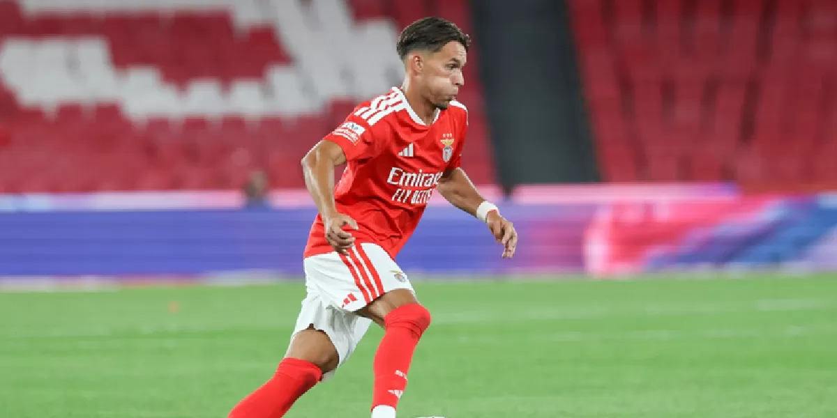 Newcastle United bakal kedatangan Amar Dedic dari Benfica.  (SL Benfica)