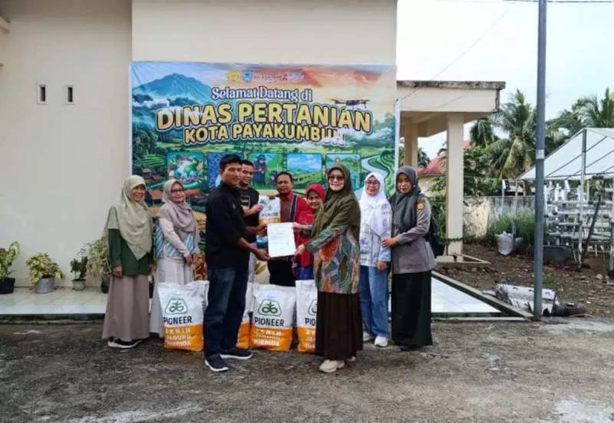 Pemulihan Pertanian Dipercepat, Zulmaeta Dorong Petani Payakumbuh Segera Tanam Jagung