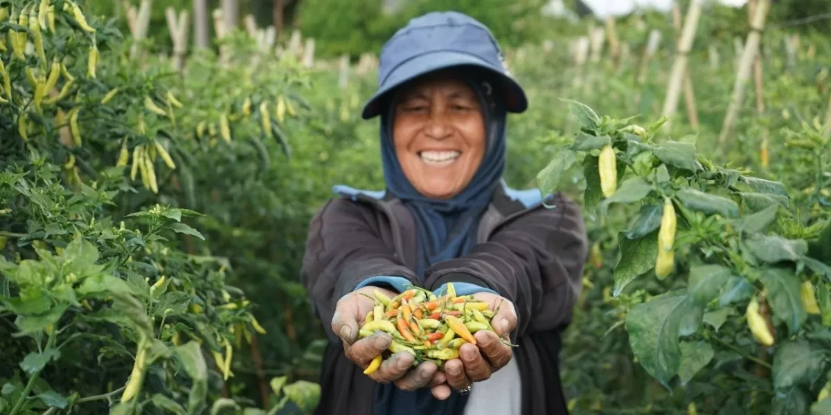 TaniHub Group, Kelompok Bank Dunia, dan Microsoft memprakarsai Cultivhacktion untuk penciptaan teknologi bagi pertanian. (Ist)