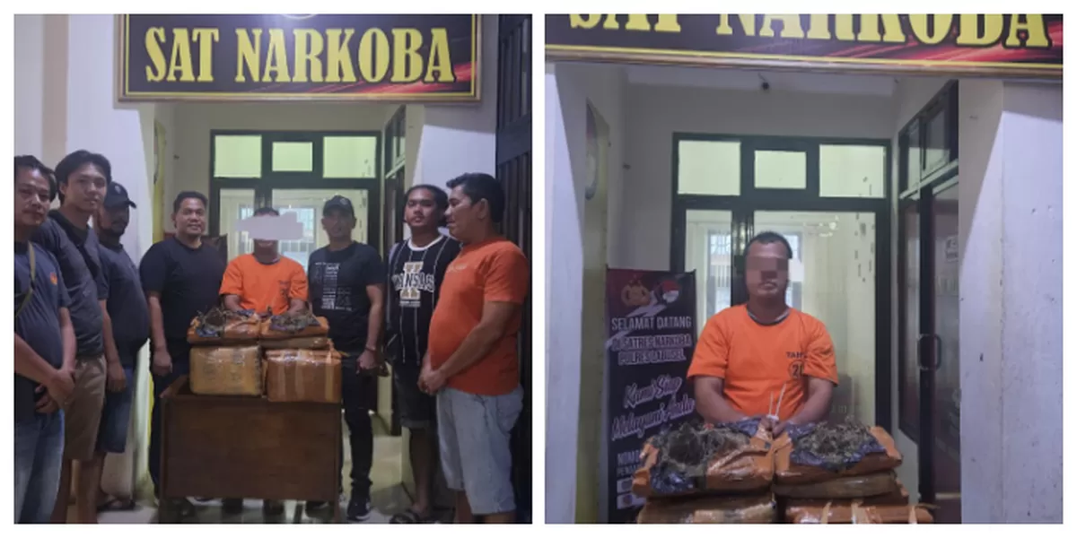 Bawa  26 kg daun ganja, Das alias D ditangkap Polres Labuhan Batu. (Realitasonline.id/Humas Poldasu/Ogek Tanjung)