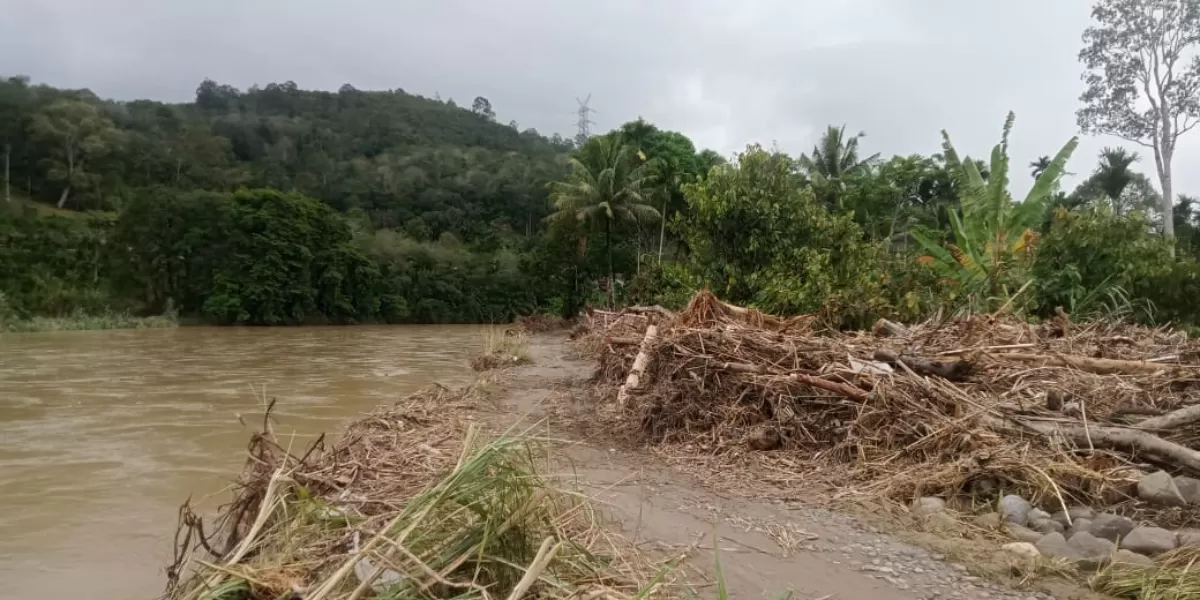 Kondisi terkini lahan pertanian di kecamatan Purbatua yang harus beralih fungsi menjadi tanaman holtikultura akan mempengaruhi produksi padi sawah. (Realitasonline.id/AS)