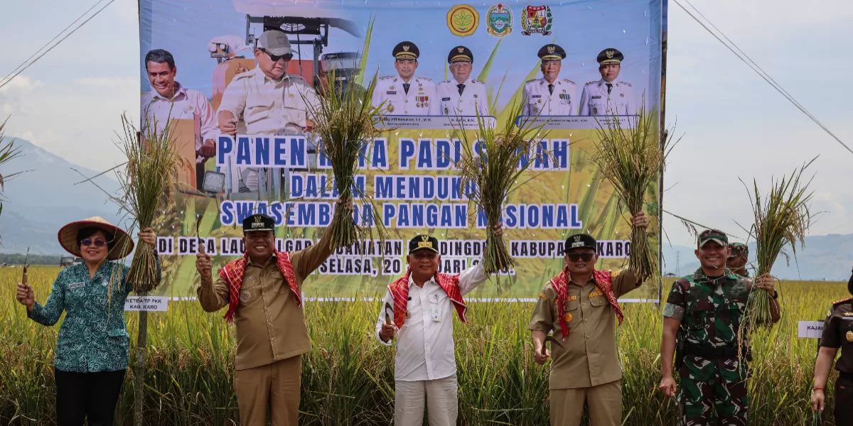Wagub Sumut Surya bersama Bupati Karo Antonius Ginting di dampingi sejumlah OPD melakukan panen raya padi, model penguatan ketahan pangan melalui pemulihan irigasi di Desa Lau Mulgap, Kecamatan Mardingding, Kabupaten Karo, Selasa (20/01/2026). 