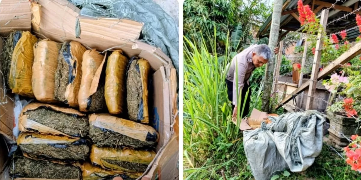 24 bal narkotika jenis ganja tak bertusn ditemukan warga di halaman rumah warga di Gang Dame II, Jalan A. Hutabarat,Senin (26/1/2026) pagi.(Foto : Realitasonline / Riswandy)