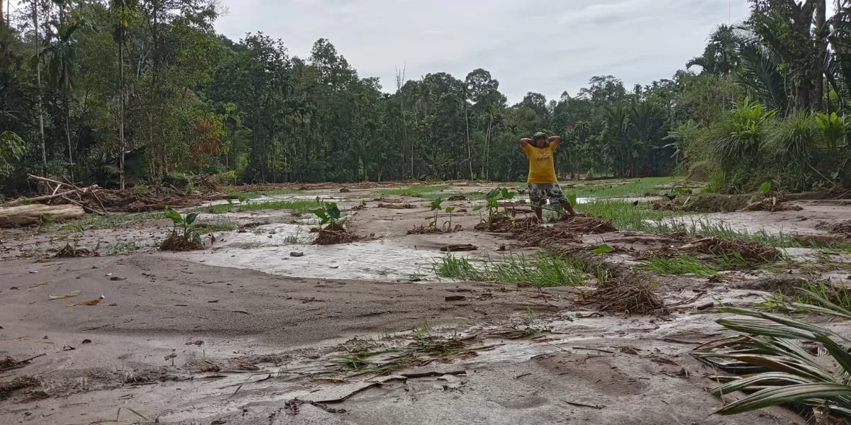 Kementerian pertanian akan menangani langsung kerusakan lahan pertanian Taput yang rusak akibat bencana alam. (Realitasonline.id/AS)
