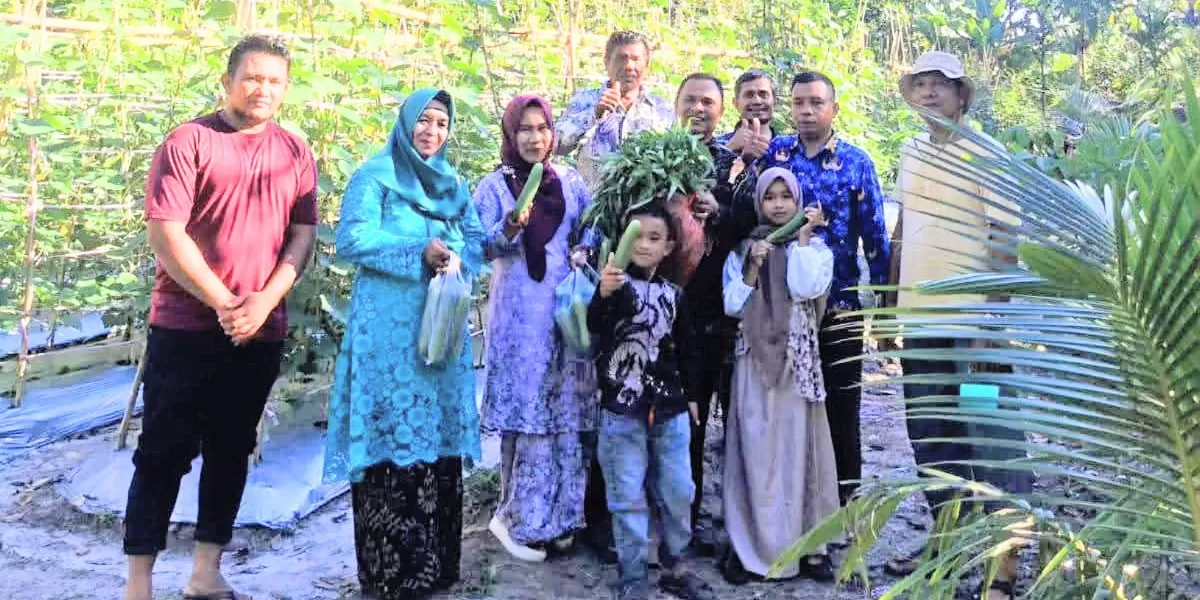 Camat Teupah Tengah, Ikhwan Jamil, bersama Ketua Tim Penggerak PKK Kecamatan Teupah Tengah dan didampingi Kepala Desa Busung Indah Sumadi melaksanakan panen hasil kebun dusun di Dusun Karya Indah, Kamis (5/2/2026). (Realitasonline.id/Ris)