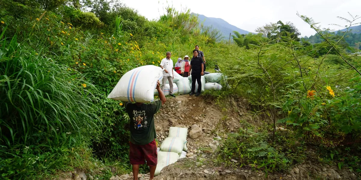 petani di Desa Partoruan Lumban Lobu, Kecamatan Bonatua Lunasi, Kabupaten Toba terpaksa menyunggi (membawa barang di atas kepala) padi hasil panen sejauh hampir 1 kilometer