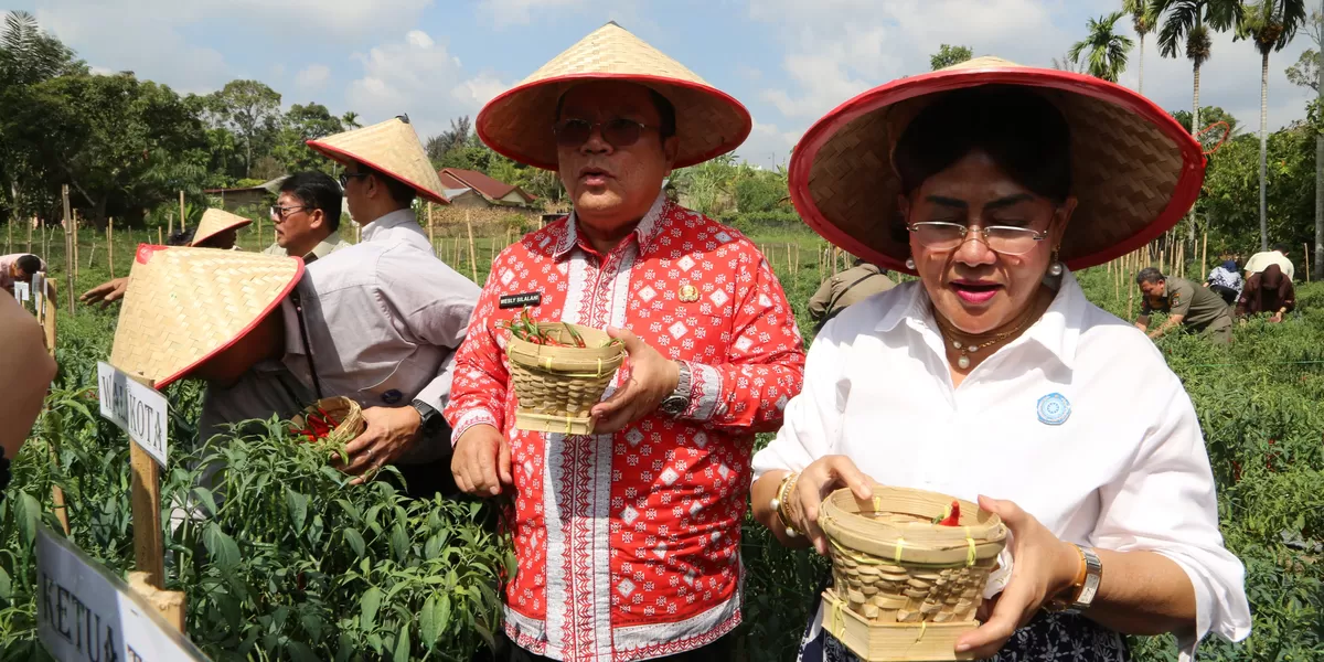 Wesly Silalahi - Ahmadi Rahman panen perdana Program Contract Farming (Realitasonline.id/RH)