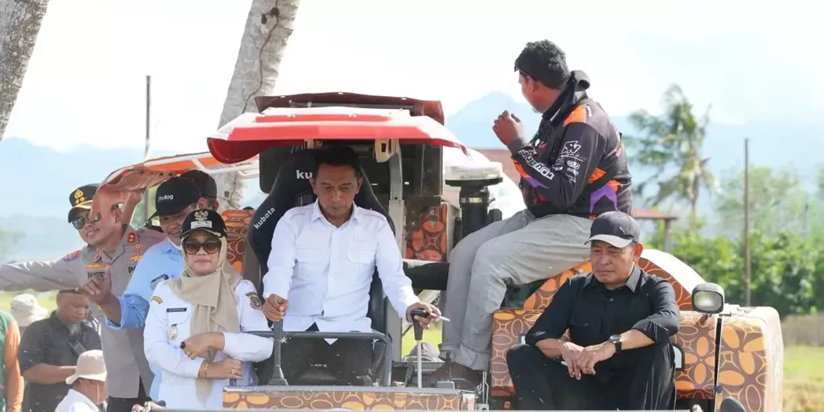 Bupati Sidrap Syaharuddin Alrif mengoperasikan mesin combine harvester saat panen raya padi di Kelurahan Lakessi, Kecamatan Maritengngae (Dok. Pemkab Sidrap)