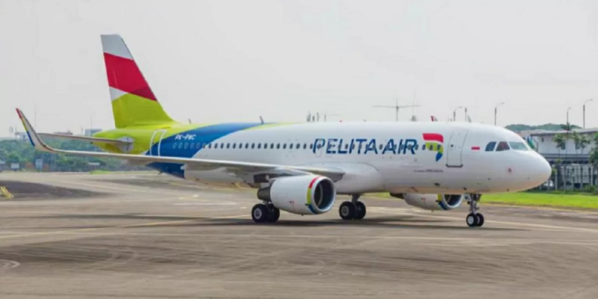 Pesawat Pelita Air Service di bandara, di tengah sorotan publik atas kerugian korporasi yang mencapai Dolar AS 20,1 juta pada 2023.   (Dok. pelita-air.com)