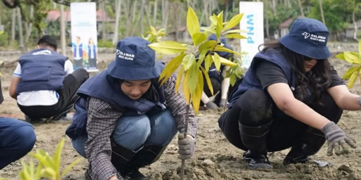 Pemerintah mengkaji strategi akuisisi PNM sebagai langkah integrasi pembiayaan UMKM dan optimalisasi subsidi KUR Rp14 triliun. (PNM.go.id)