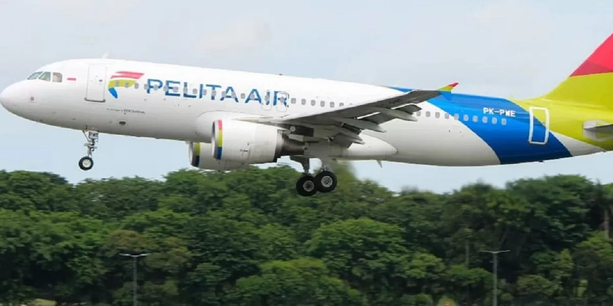Pesawat Pelita Air Service di bandara, di tengah sorotan publik atas kerugian korporasi yang mencapai Dolar AS 20,1 juta pada 2023.   (Facebook.com @Pelita Air)