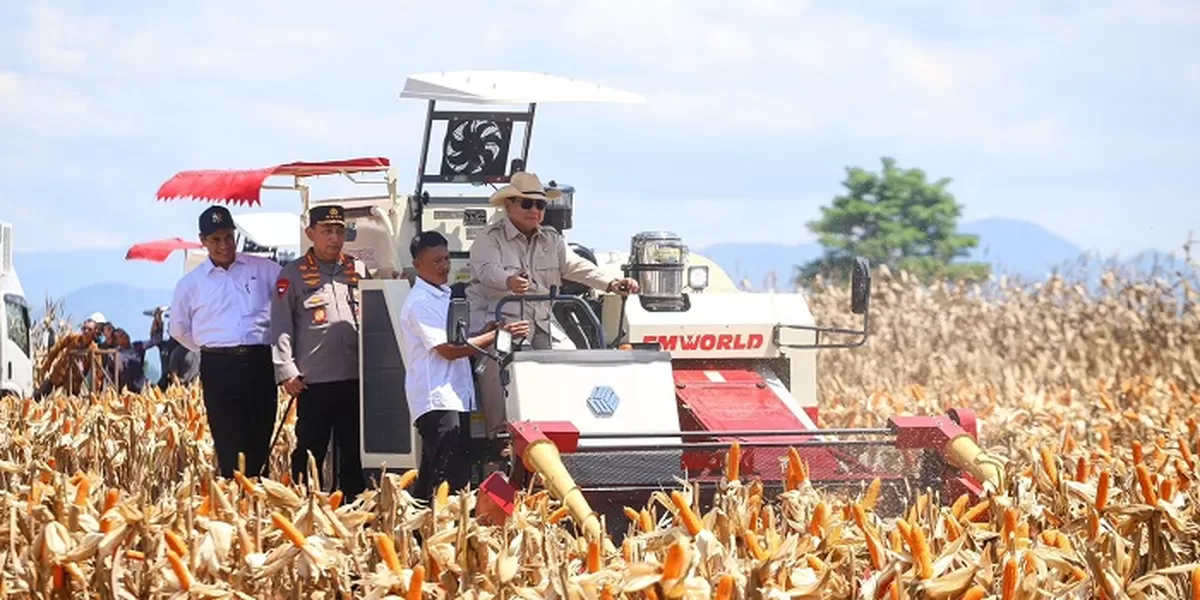 Produksi Jagung 2025 Naik 6,44 Persen, Capai Sebesar 16,11 Juta Ton Sepanjang Tahun  (Dok. Kementerian Pertanian)
