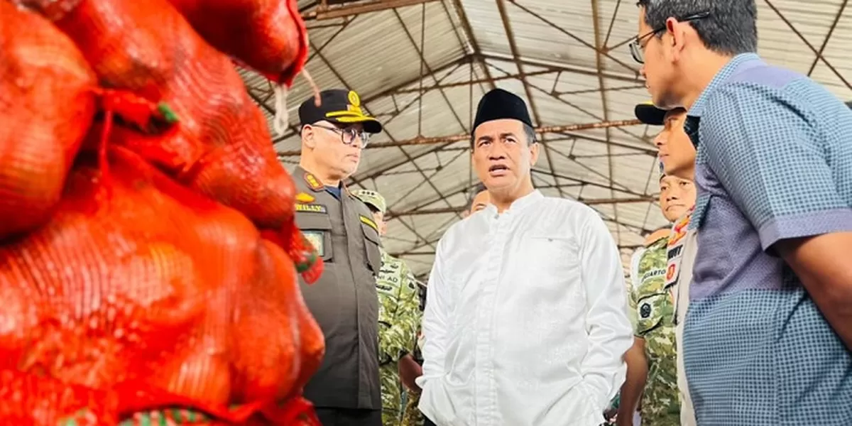 Mentan Amran saat sidak pengamanan bawang bombay ilegal 133,5 ton di Pelabuhan Tanjung Emas Semarang. (Dok. Kementerian Pertanian)