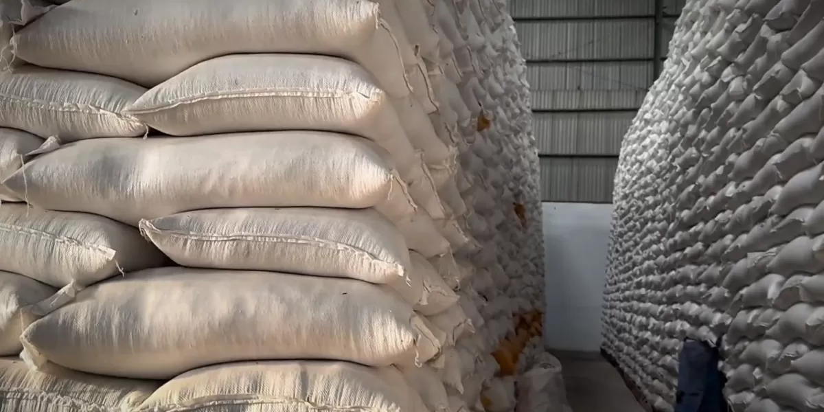 Pemerintah Tegaskan Berpengalaman Hadapi El Nino Godzilla, Terparah di Tahun 2015 (Bakom RI)