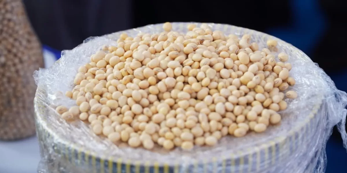 Lindungi Industri Tahu Tempe, Pemerintah Pastikan Harga Kedelai Terkendali. (Foto: Badan Pangan)