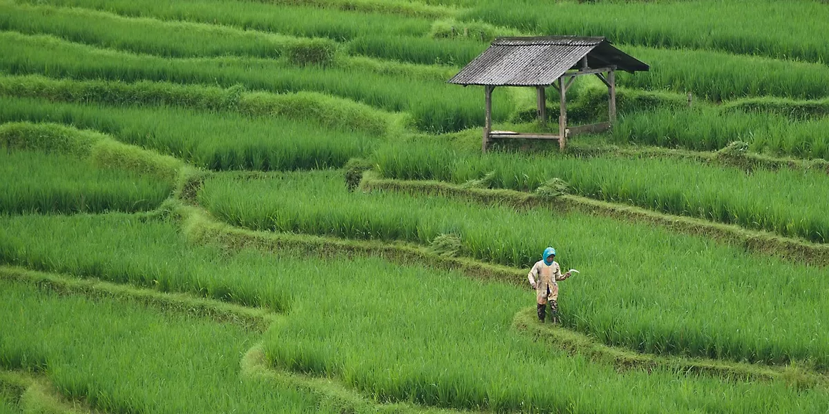 Ilustrasi reforma agraria (Pixabay/ignartonosbg)