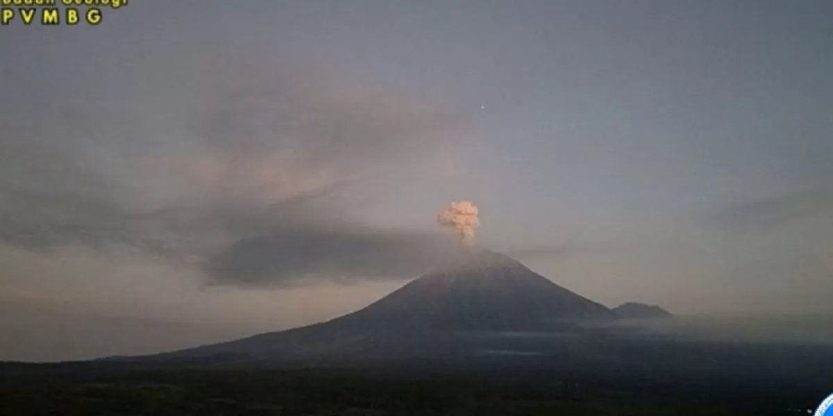  Gunung Semeru erupsi dengan tinggi letusan mencapai 700 meter di atas puncak pada Rabu (1/4/2026) pagi.  (ANTARA/HO-PVMBG)