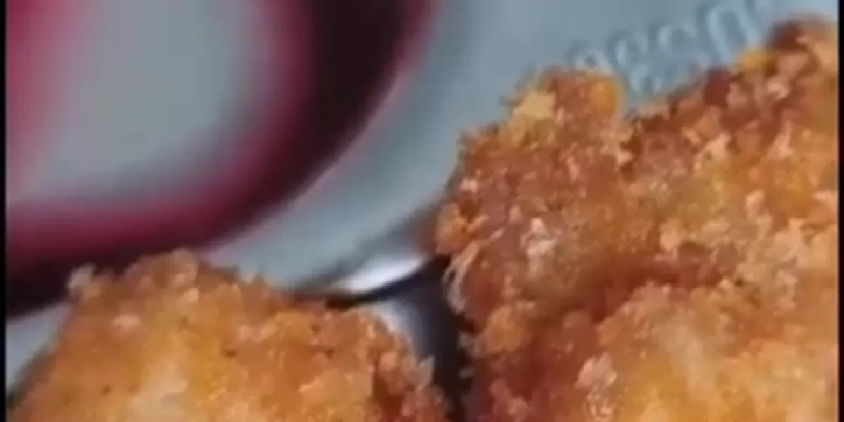 Penemuan ulat di MBG.  (Dok)