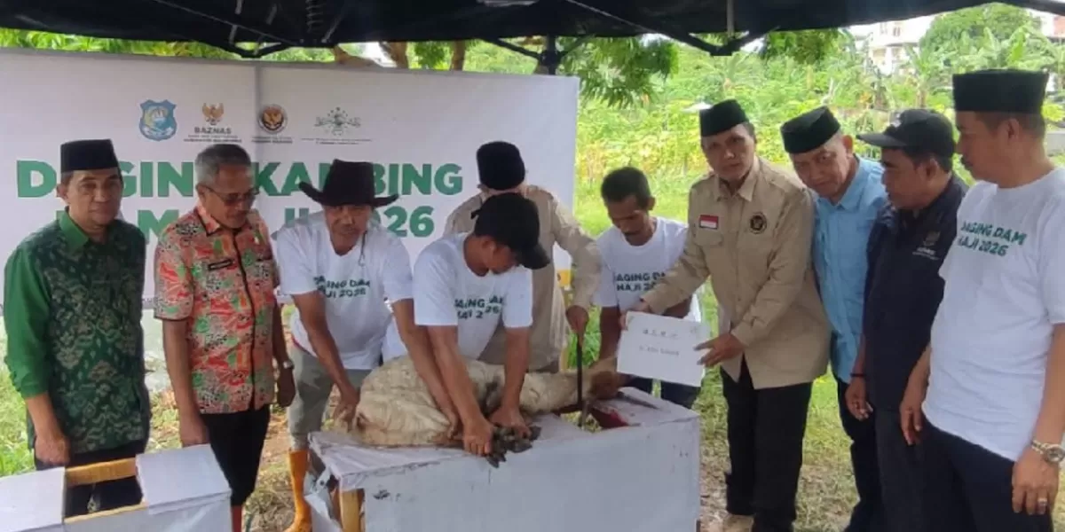 BAZNAS Bulukumba sembelih 129 Ekor Kambing DAM Jamaah Haji.