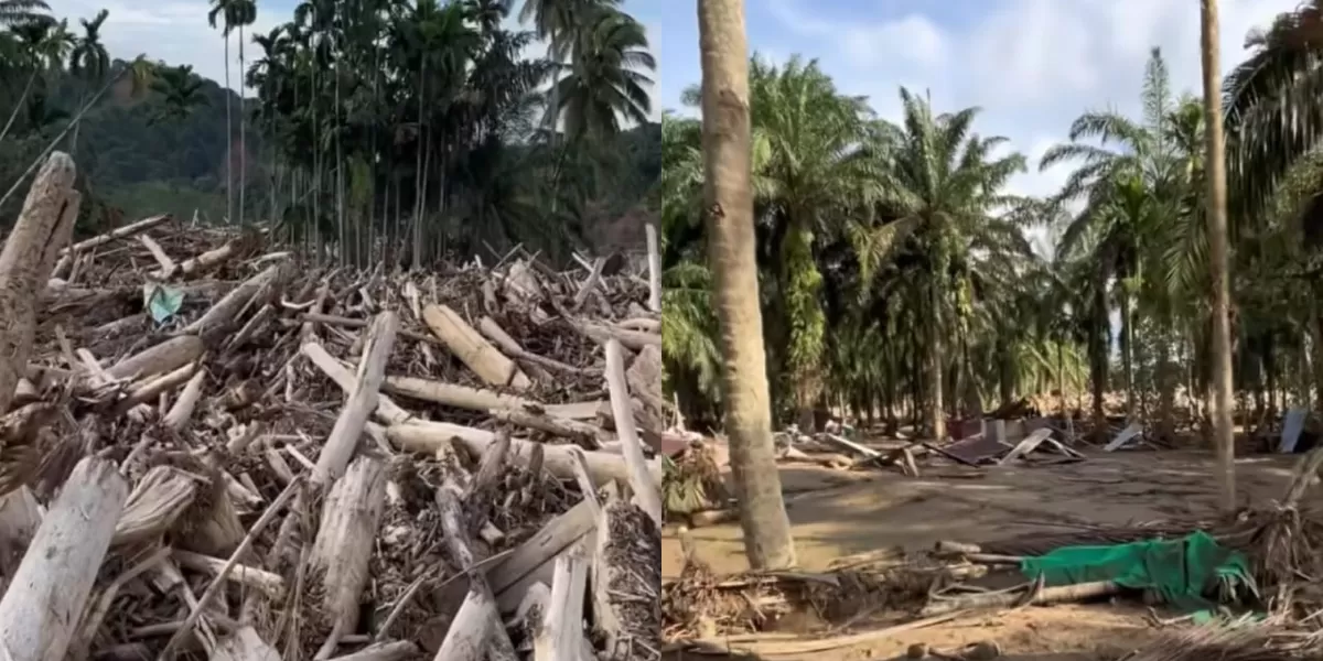 Kondisi Aceh Tamiang yang masih dipenuhi dengan tumpukan kayu pascabanjir bandang. (Dok. Instagram/si.braay)
