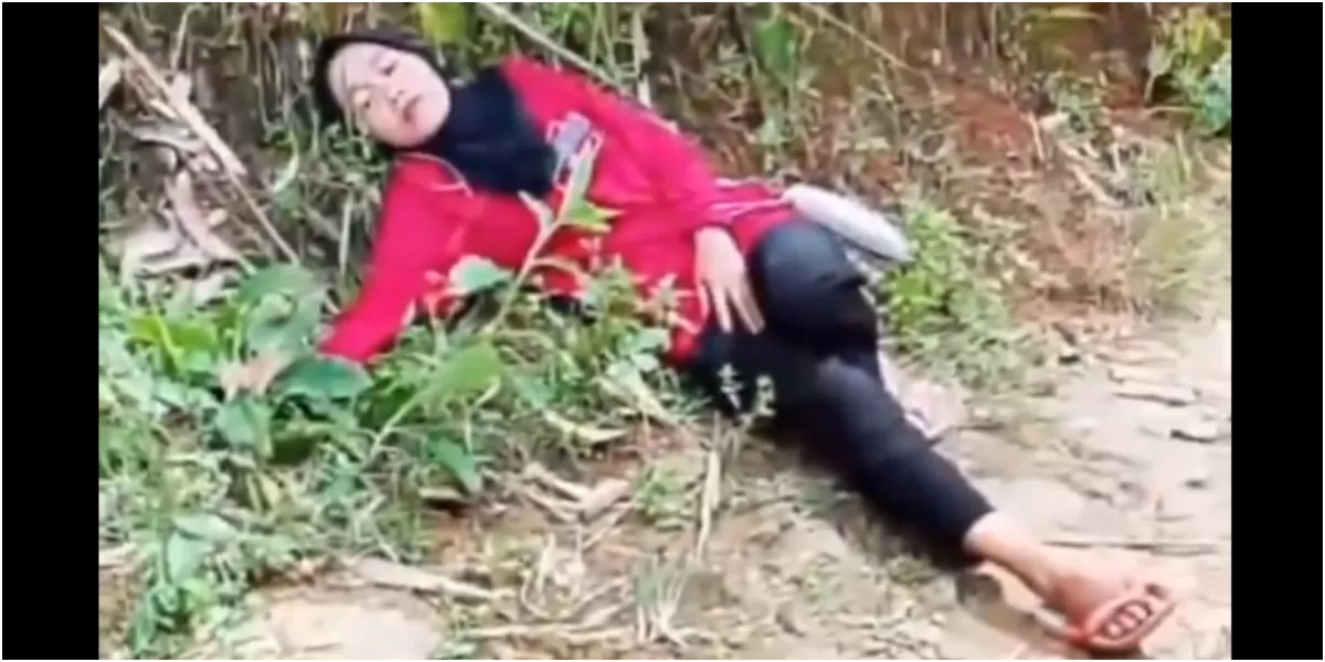 Detik-detik Wanita di Sinjai Tergeletak Kesakitan Usai Terkena Gigitan Ular  Kobra - Kilat