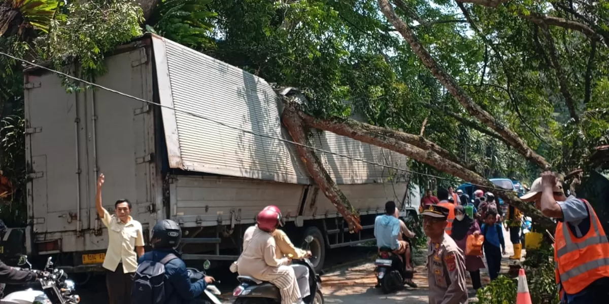 Pohon tumbang meniban truk kontainer di Jalan Bocimi menimpa dua kendaraan.  (ISTIMEWA)