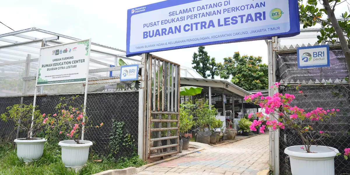 Kisah inspiratif KWT Buaran Citra Lestari di Jakarta Timur lewat program BRInita manfaatkan lahan sempit untuk tanaman produktif