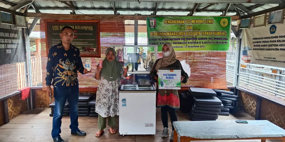 Ras Farm Sukoharjo I di Pringsewu, Lampung milik Dwi Nurhaeni yang berhasil berkembang dari skala usaha rumahan menjadi peternakan dengan ratusan kambing perah berkat KUR BRI